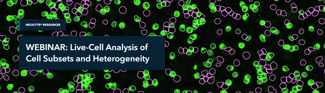 Live-Cell Analysis of Cell Subsets and Heterogeneity