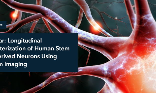 IncuCyte: Longitudinal Characterization of Human Stem Cell-Derived Neurons Using Calcium Imaging