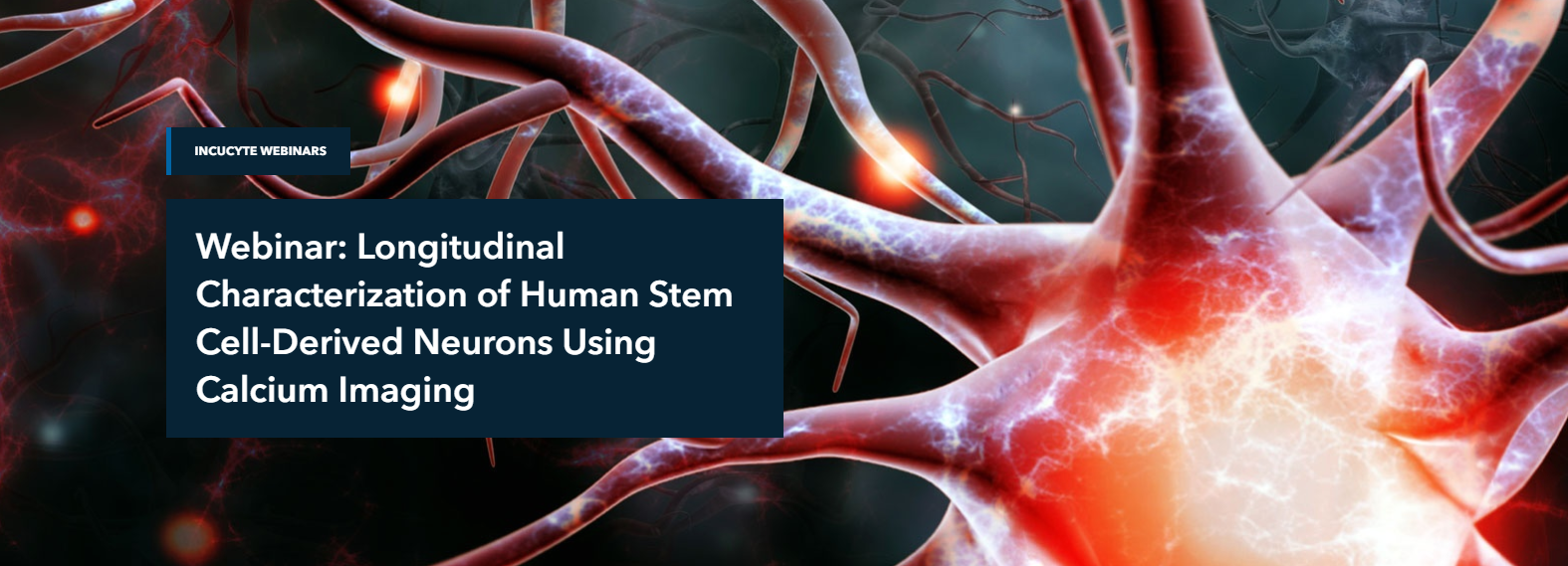 Longitudinal Characterization of Human Stem Cell-Derived Neurons Using Calcium Imaging Longitudinal Characterization of Human Stem Cell-Derived Neurons Using Calcium Imaging