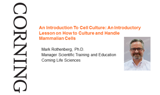 An Introduction To Cell Culture