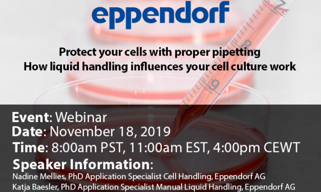Protect your cells with proper pipetting – How liquid handling influences your cell culture work